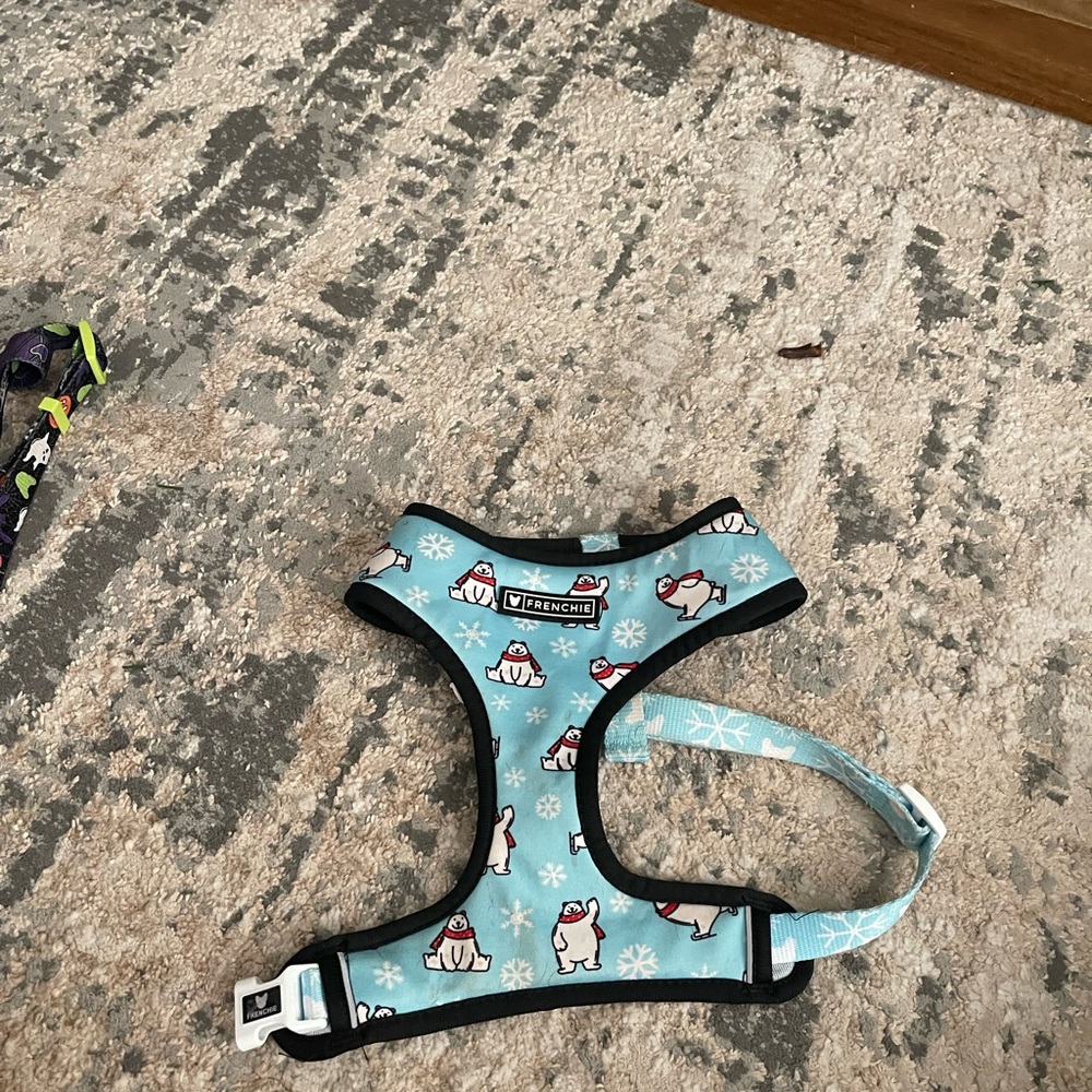 Frenchie Blue Dog Harness with Polar Bear Print size large